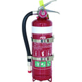 1.0 kg ABE Dry Chemical Powder Extinguisher with Hose (High Performance)