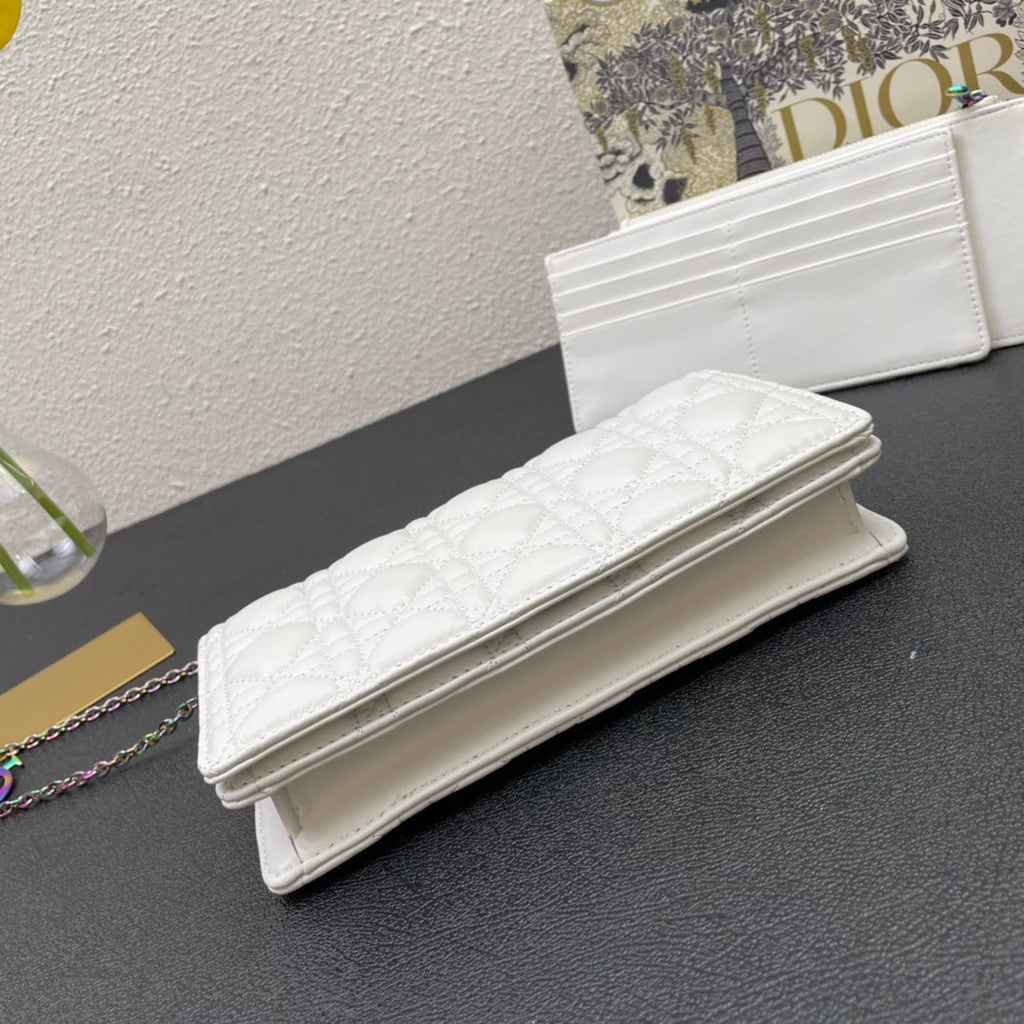 DIOR CARO SLIM POUCH 21 BAG IN WHITE CALFSKIN