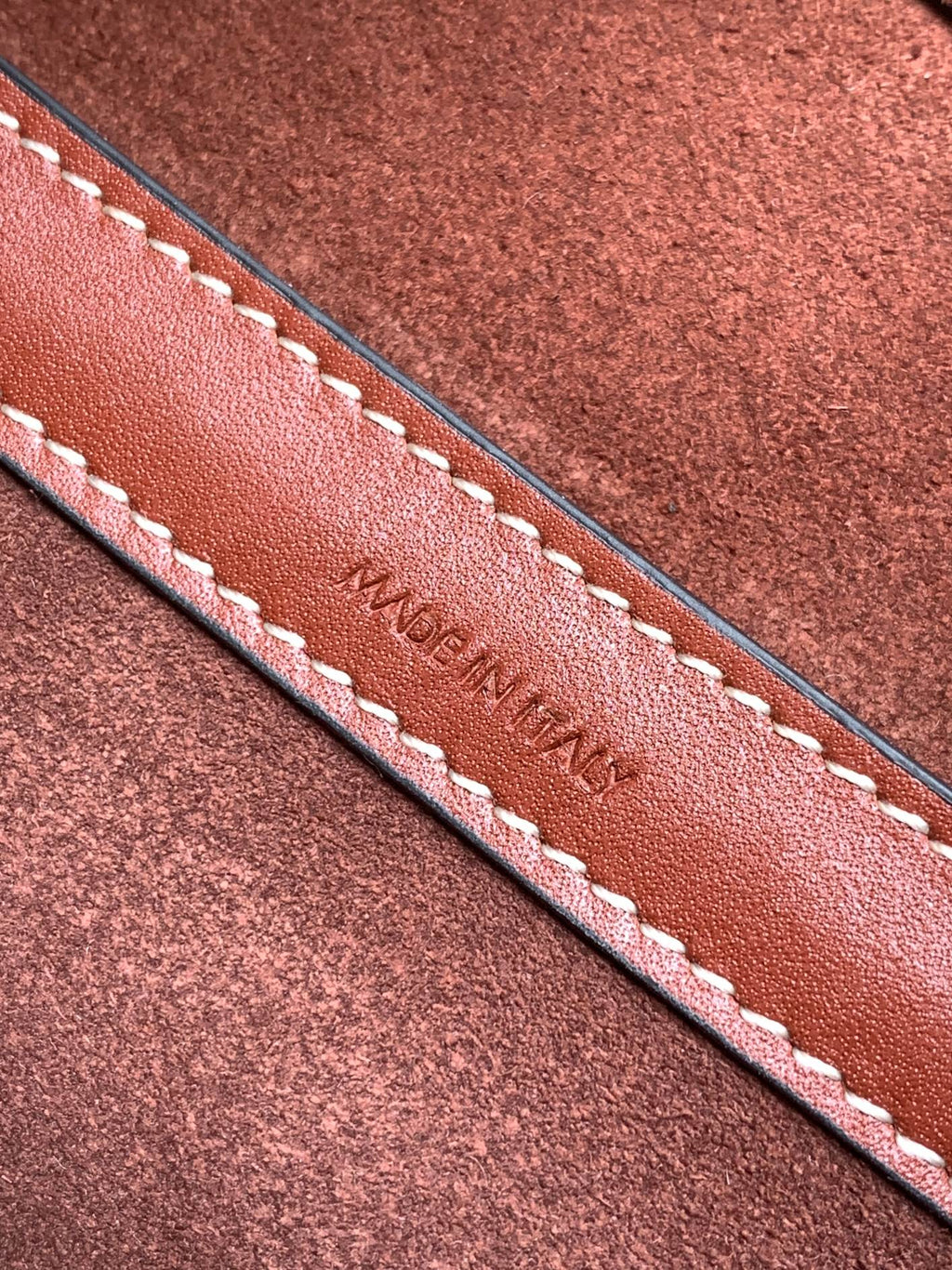 CELINE TRIOMPHE CLASSIC 25 CINNAMON BROWN CALFSKIN