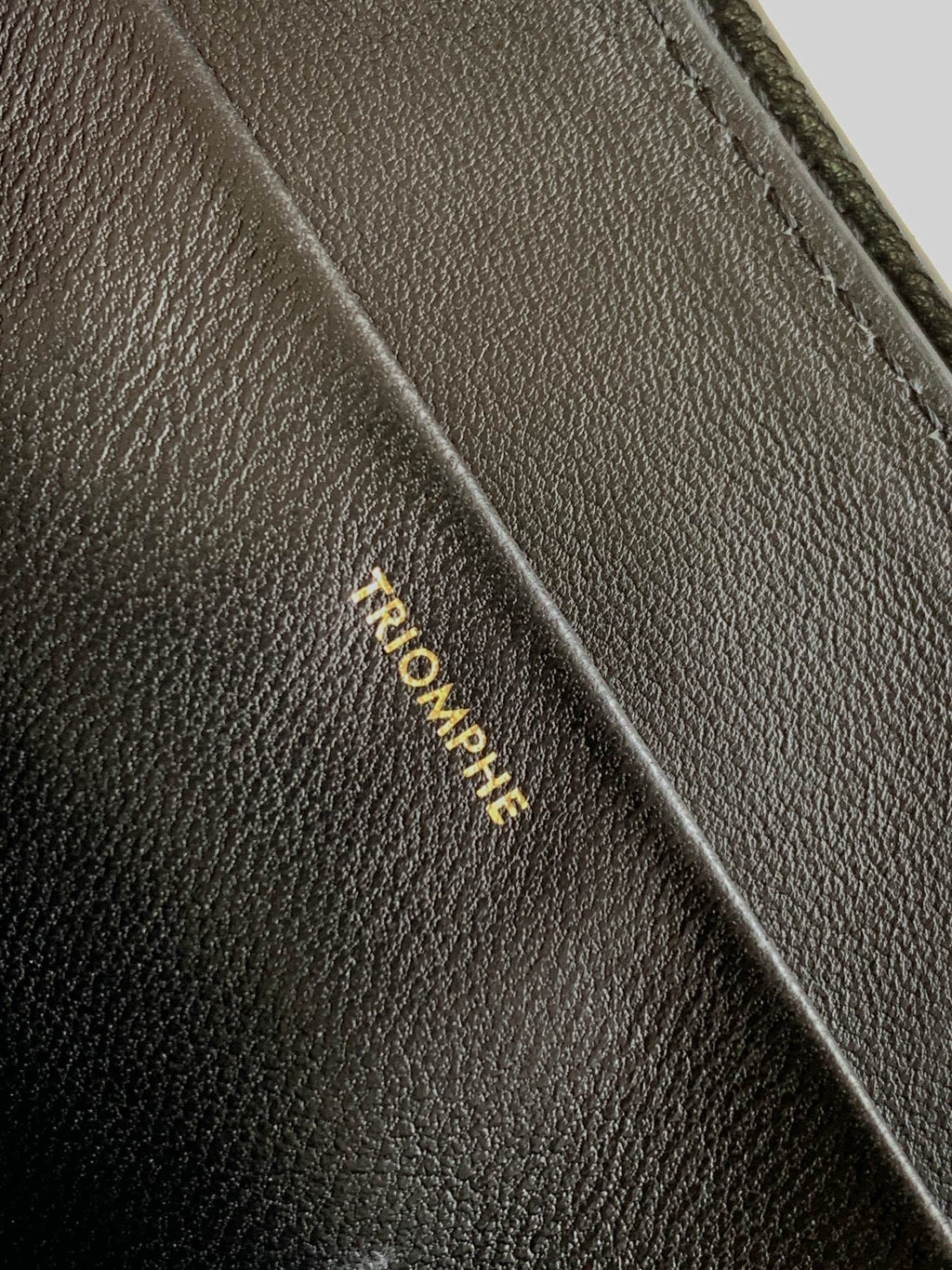 CELINE TRIOMPHE FRAME 23 BLACK CALFSKIN