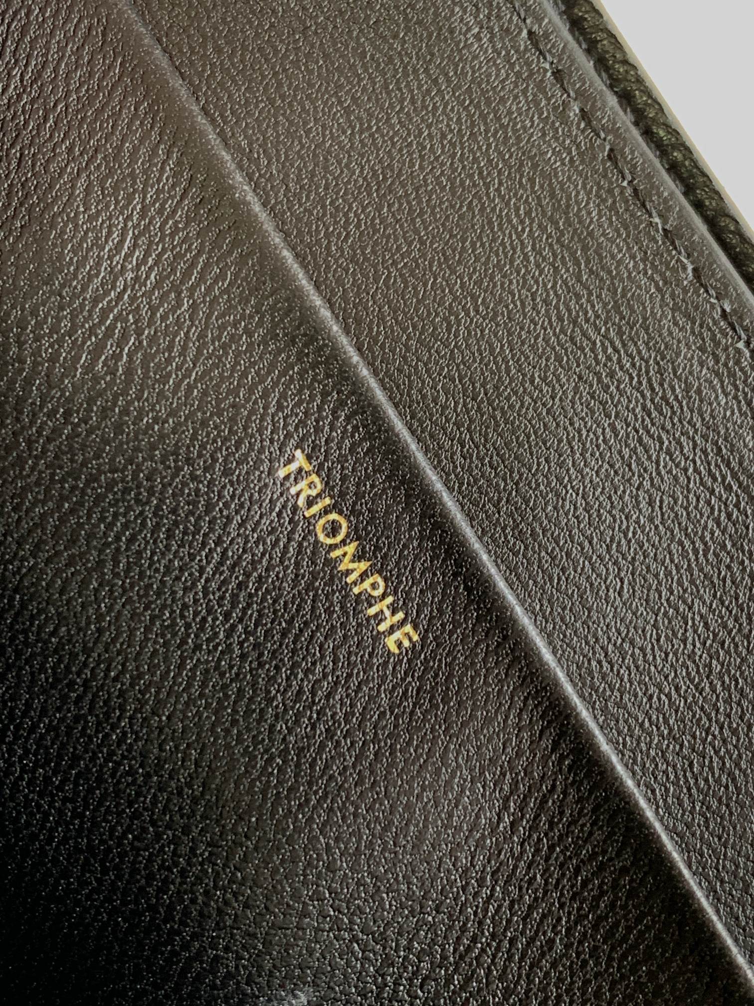 CELINE TRIOMPHE FRAME 23 BLACK CALFSKIN