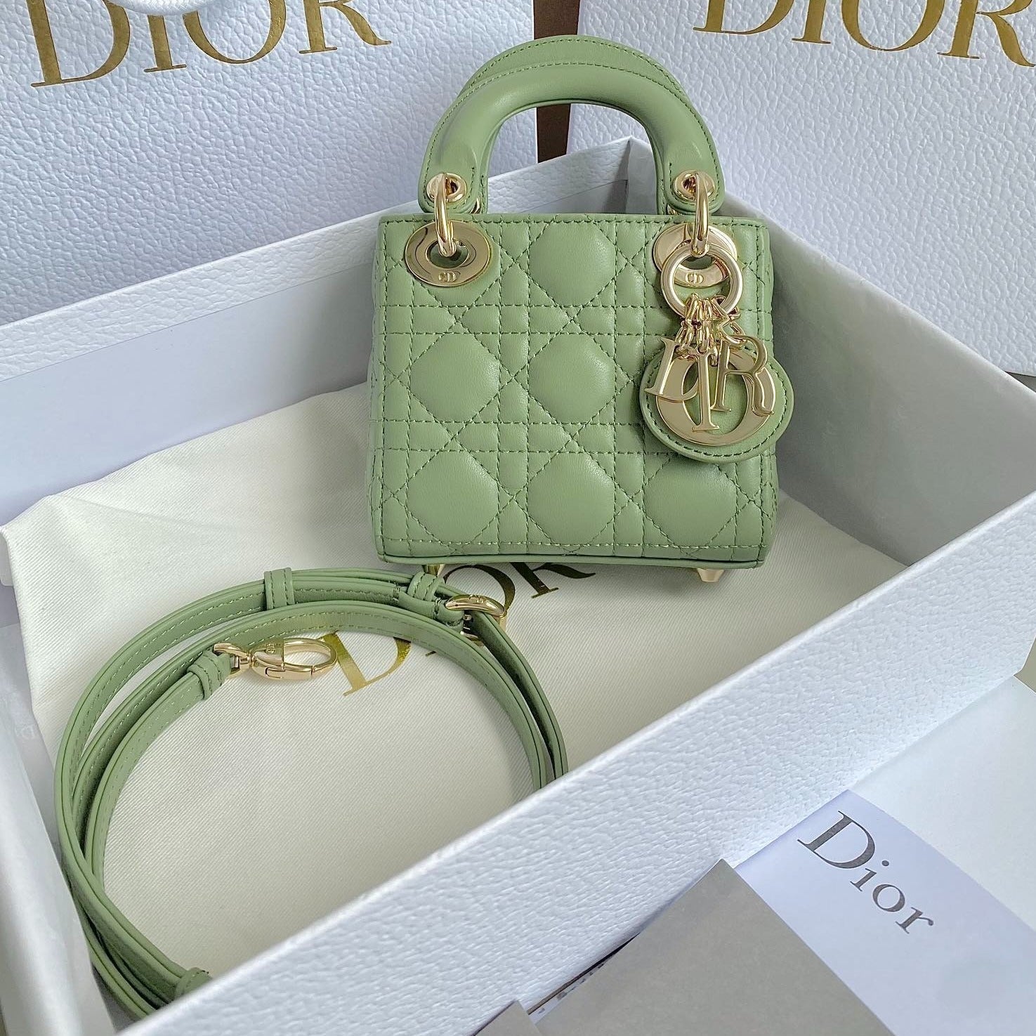 DIOR MICRO LADY 12 BAG IN LIGHT GREEN LAMBSKIN
