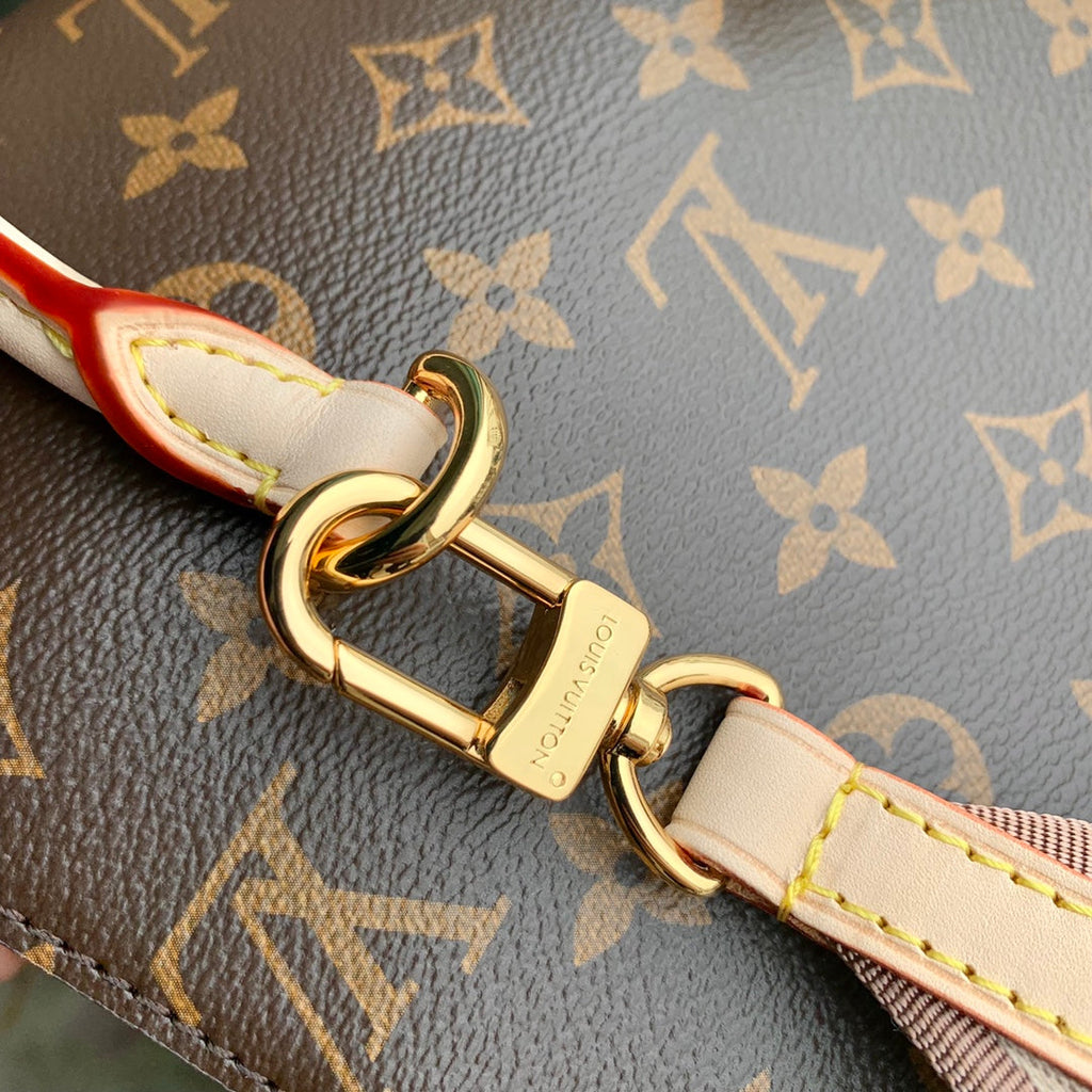 LOUIS VUITTON CLUNY MINI 20 IN BROWN MONOGRAM CANVAS