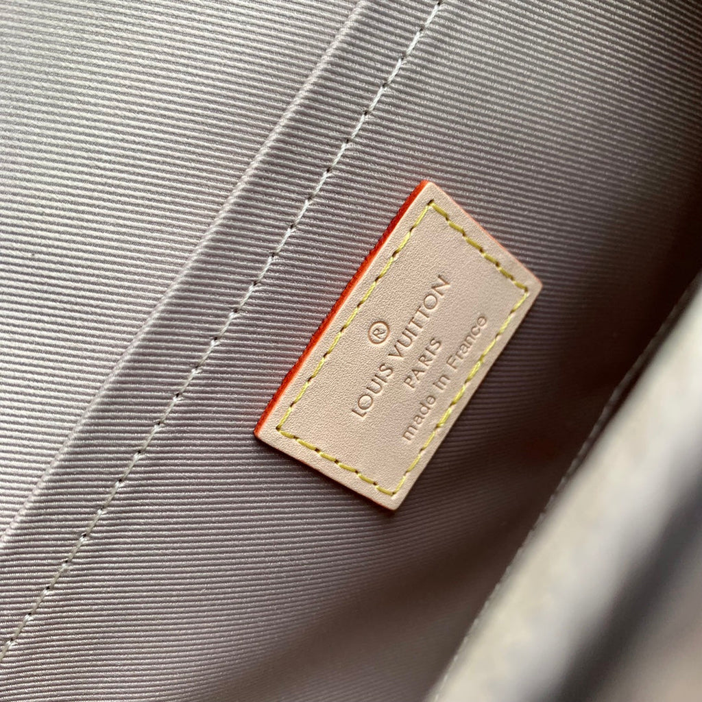 LOUIS VUITTON CLUNY MINI 20 IN BROWN MONOGRAM CANVAS