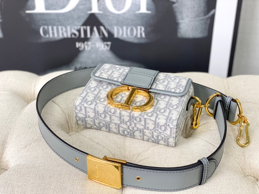 DIOR MONTAIGNE 19 HANDBAG IN GREY CALFSKIN