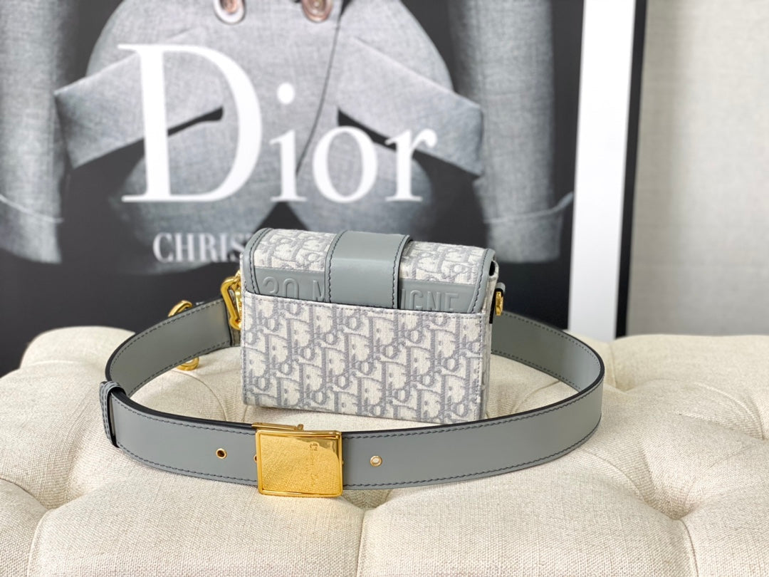 DIOR MONTAIGNE 19 HANDBAG IN GREY CALFSKIN