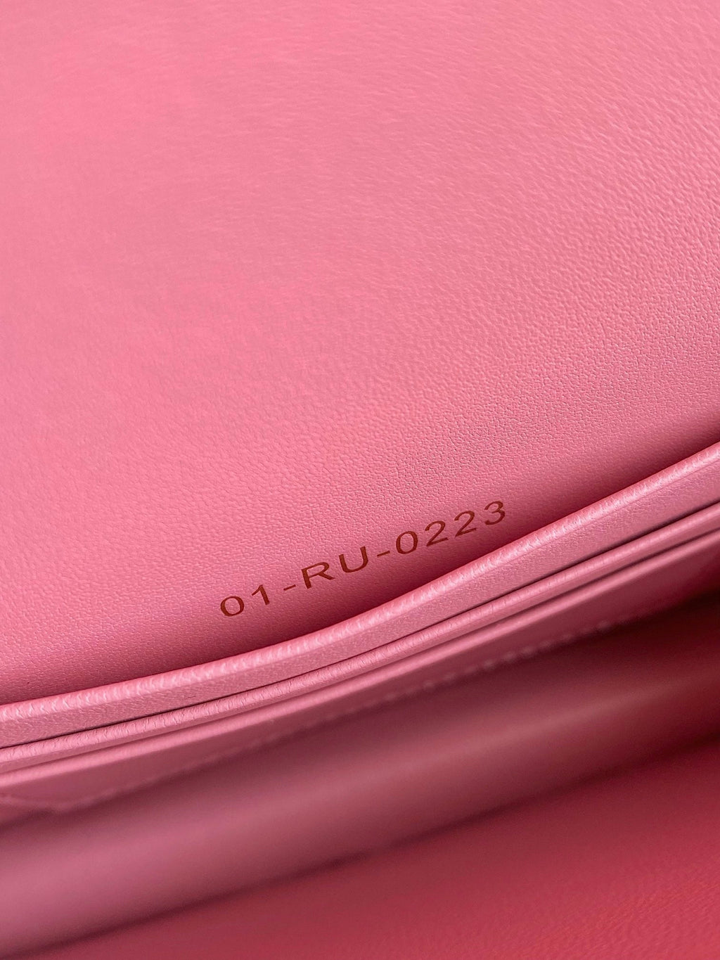 DIOR MINI CHAIN BAG 17 IN LIGHT PINK CALFSKIN