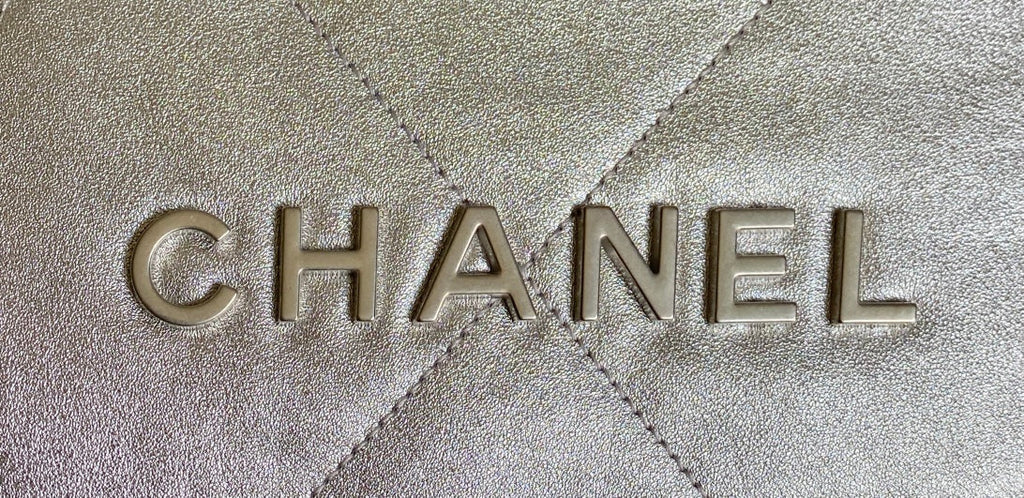 CHANEL HOBO MINI 20CM SILVER LAMBSKIN