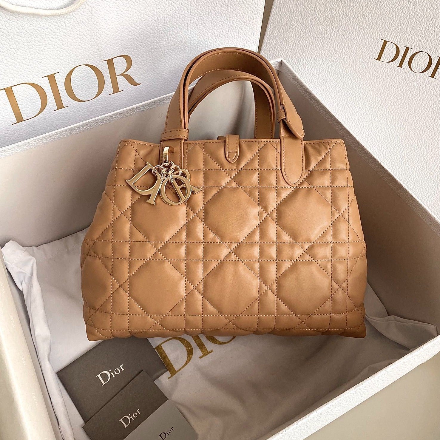 DIOR TOUJOURS 28 BAG IN CAMEL BEIGE LAMBSKIN