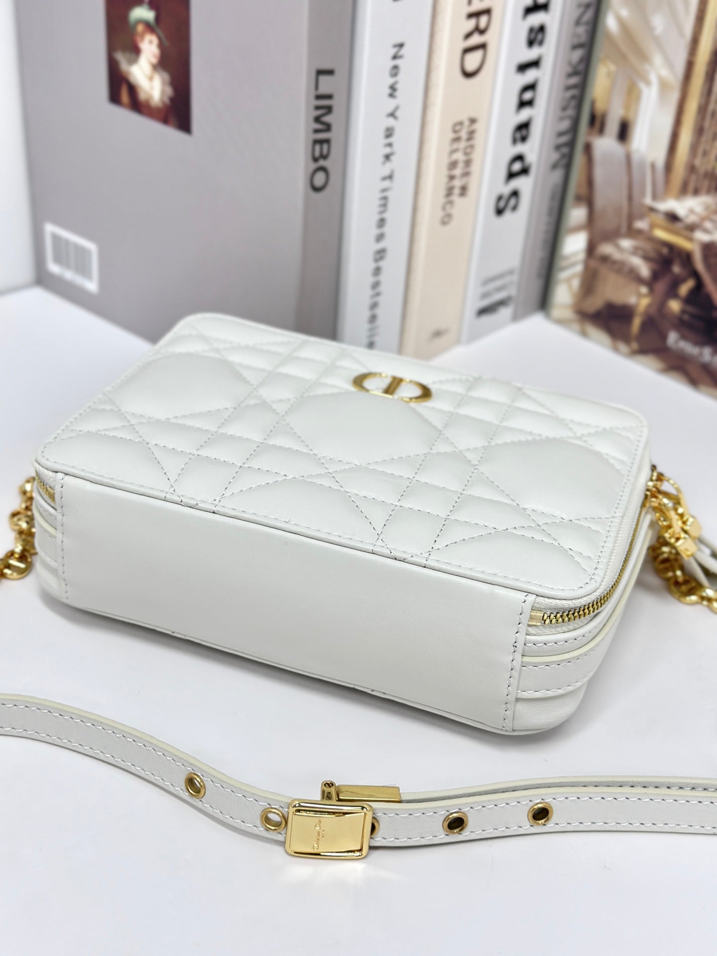 DIOR CARO BOX 19 IN WHITE CALFSKIN
