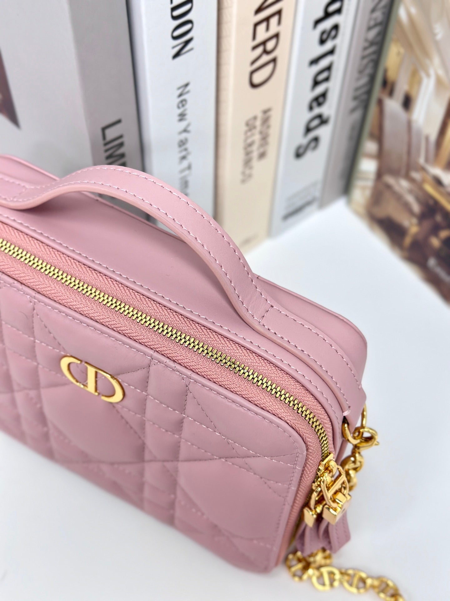 DIOR CARO BOX 19 IN LIGHT PINK CALFSKIN