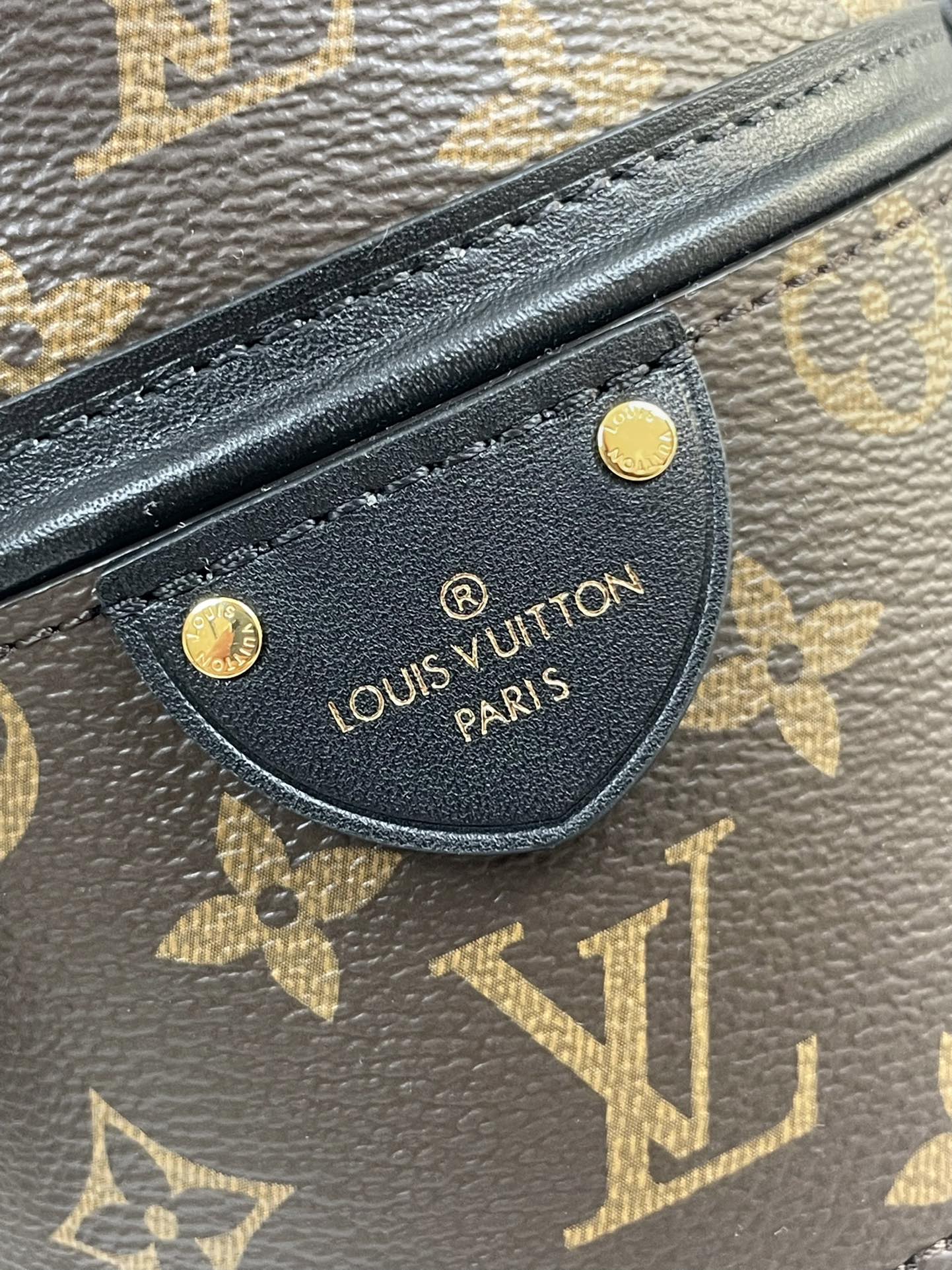 LOUIS VUITTON CANOÉ 20 IN BROWN MONOGRAM CANVAS GOLD HARDWARE