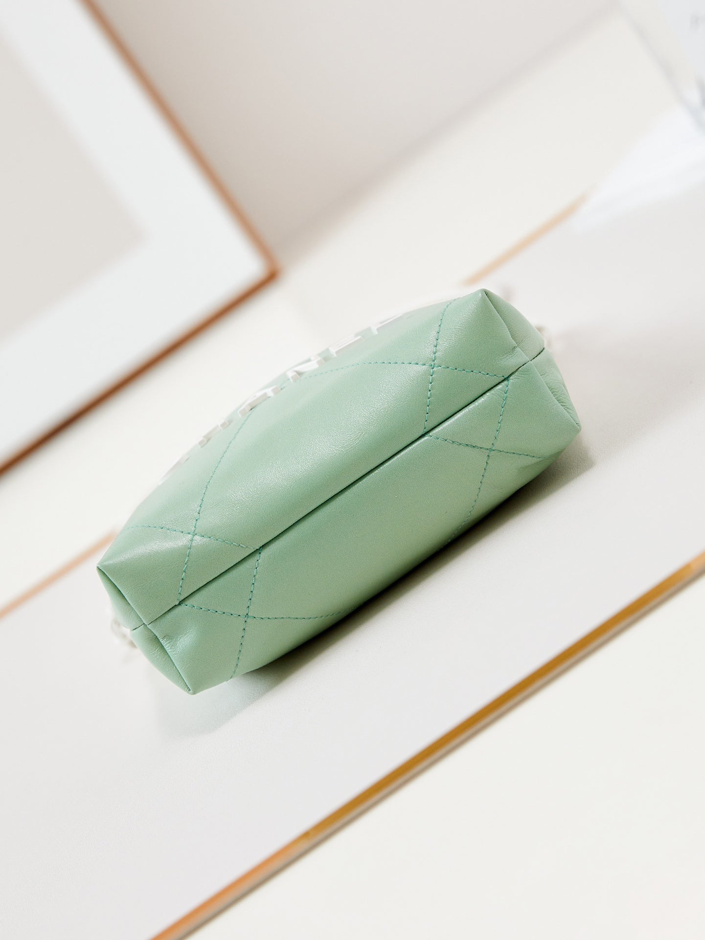 CHANEL MINI 20 HOBO BAG IN WHITE MIX LIGHT GREEN CALFSKIN