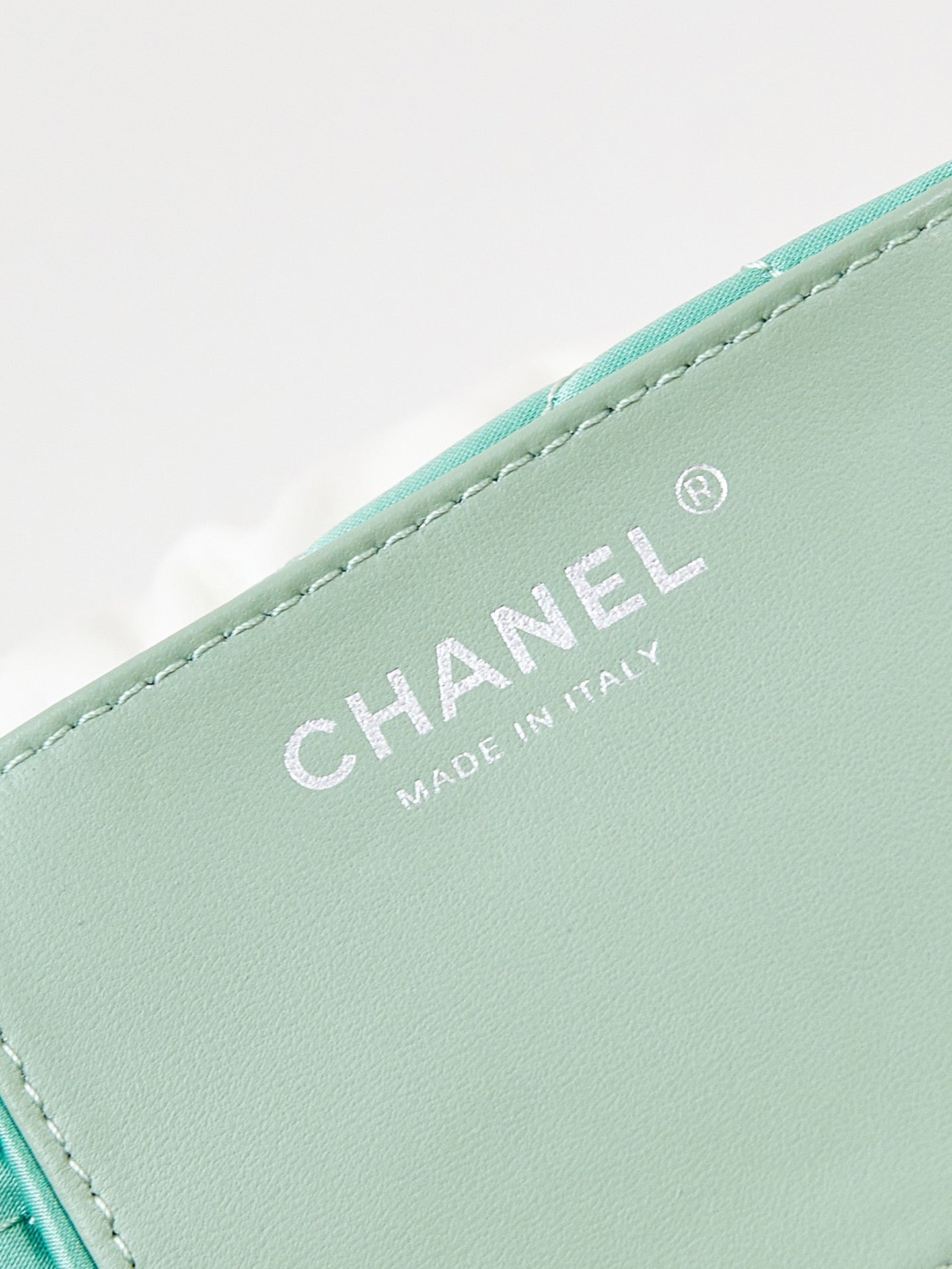 CHANEL MINI 20 HOBO BAG IN WHITE MIX LIGHT GREEN CALFSKIN