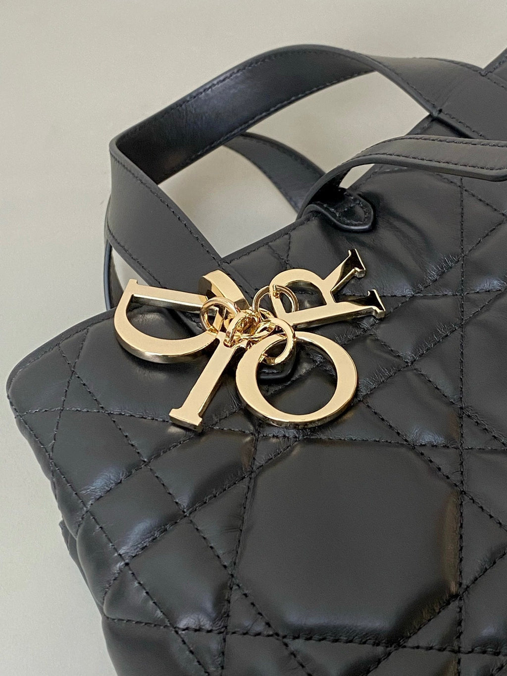 DIOR MEDIUM TOUJOURS BUCKET BAG 22 IN BLACK CANNAGE CALFSKIN