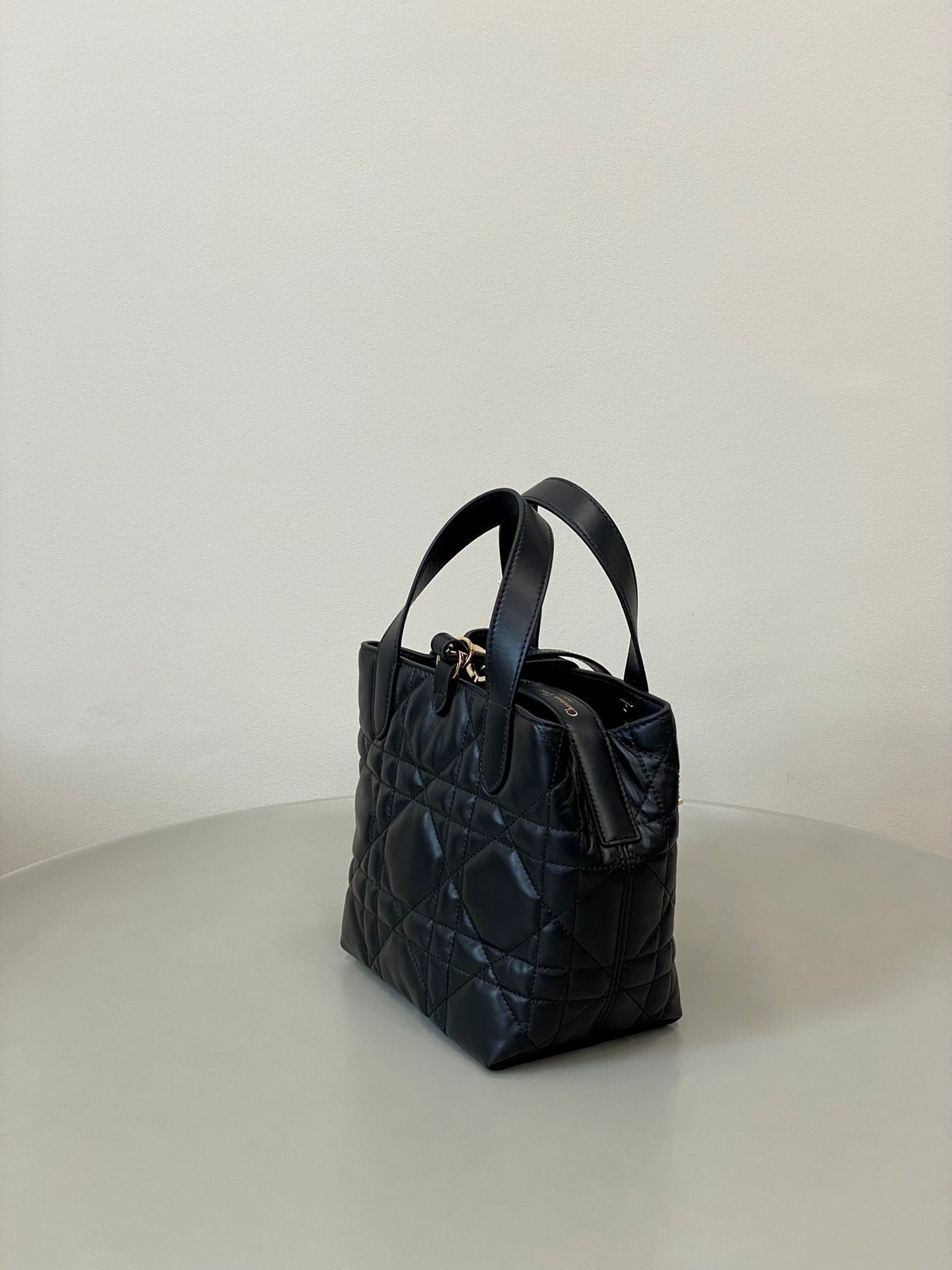 DIOR MINI TOUJOURS BUCKET BAG 18 IN BLACK CANNAGE CALFSKIN