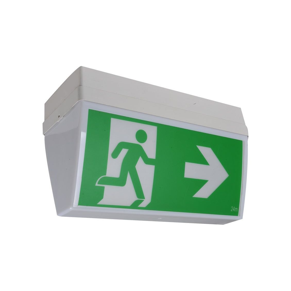 4W LED Ceiling Mounted Exit Light (380mm x 160mm x 225mm) (Lithium Battery)