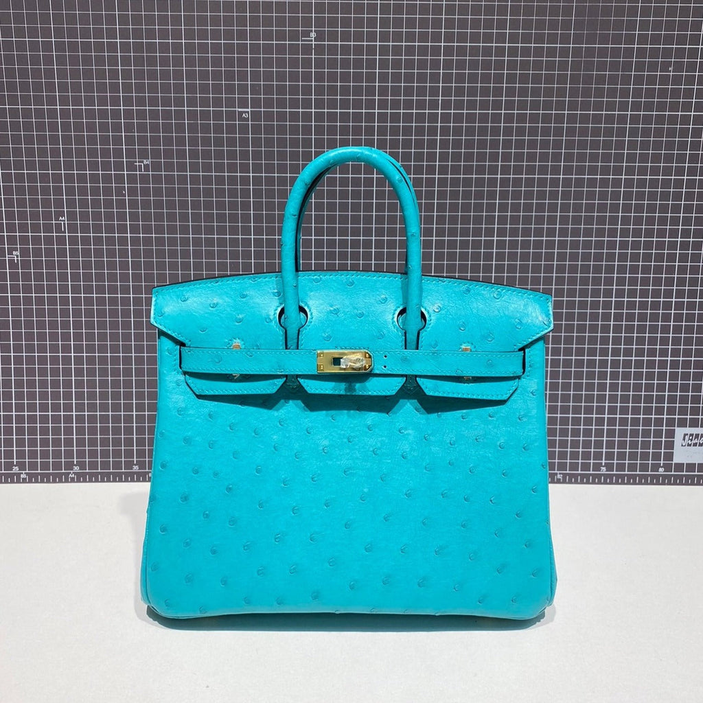 HERMES BIRKIN 30CM CLOUD BLUE OSTRICH LEATHER GOLD HARDWARE