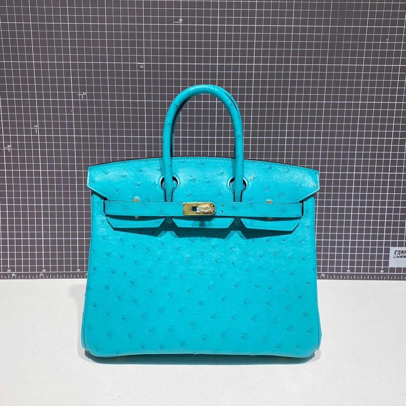 HERMES BIRKIN 30CM CLOUD BLUE OSTRICH LEATHER GOLD HARDWARE