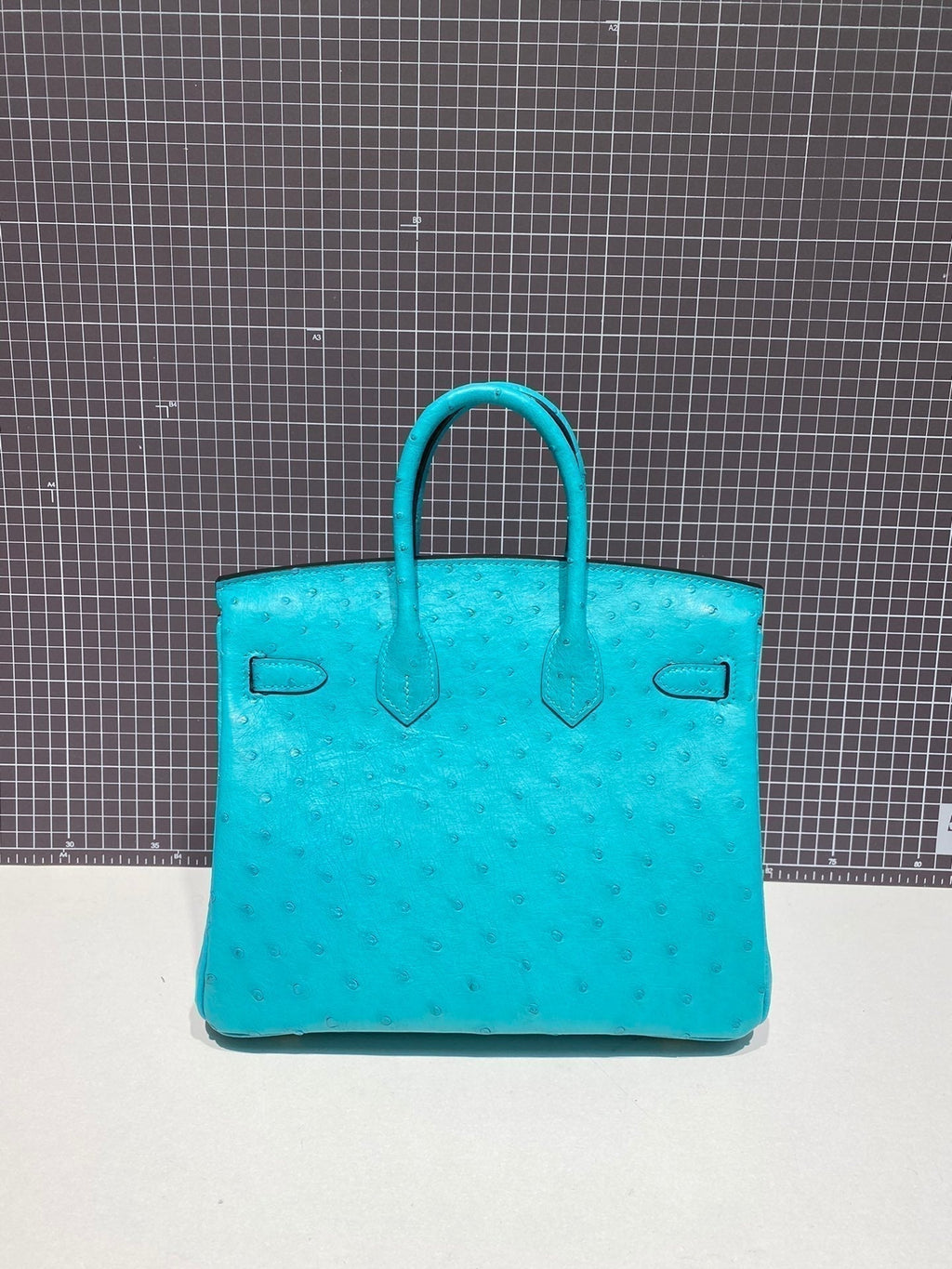 HERMES BIRKIN 30CM CLOUD BLUE OSTRICH LEATHER GOLD HARDWARE