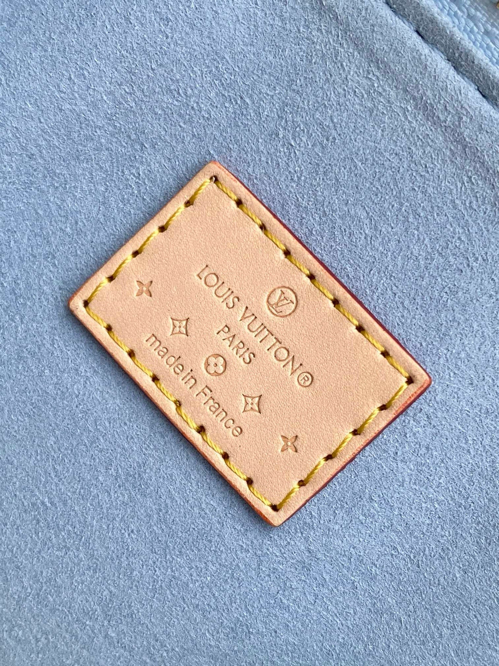 LOUIS VUITTON NANO SPEEDY 16 IN PASTEL MONOGRAM VERNIS GOLD HARDWARE