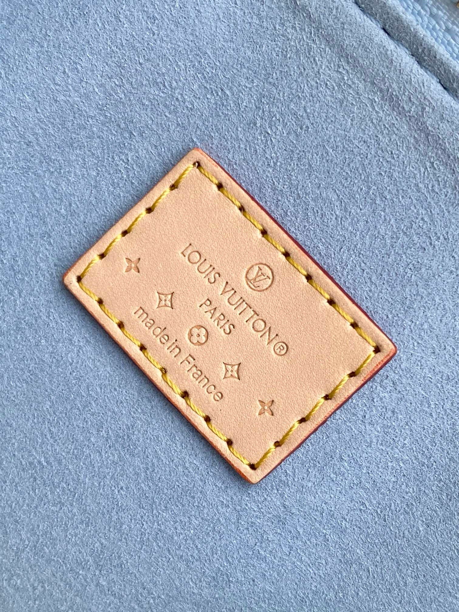 LOUIS VUITTON NANO SPEEDY 16 IN PASTEL MONOGRAM VERNIS GOLD HARDWARE