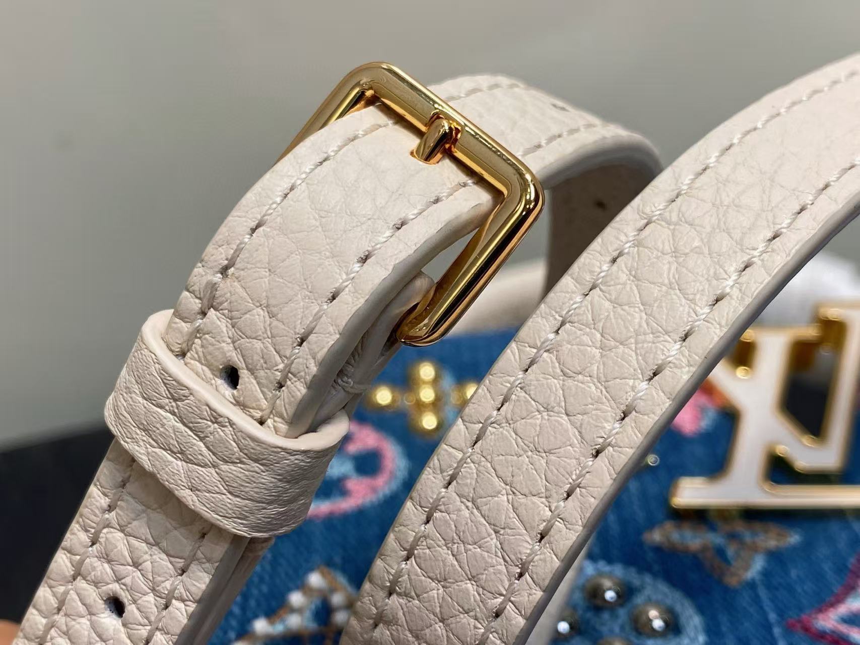 LOUIS VUITTON LV CAPUCINES BAG 21 PINIC IN COLORFUL DENIM GOLD HARDWARE