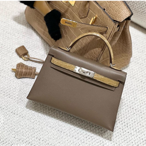 HERMES KELLY 25 ETOUPE EPSOM CALFSKIN MIX CROCODILE SKIN SILVER HARDWARE