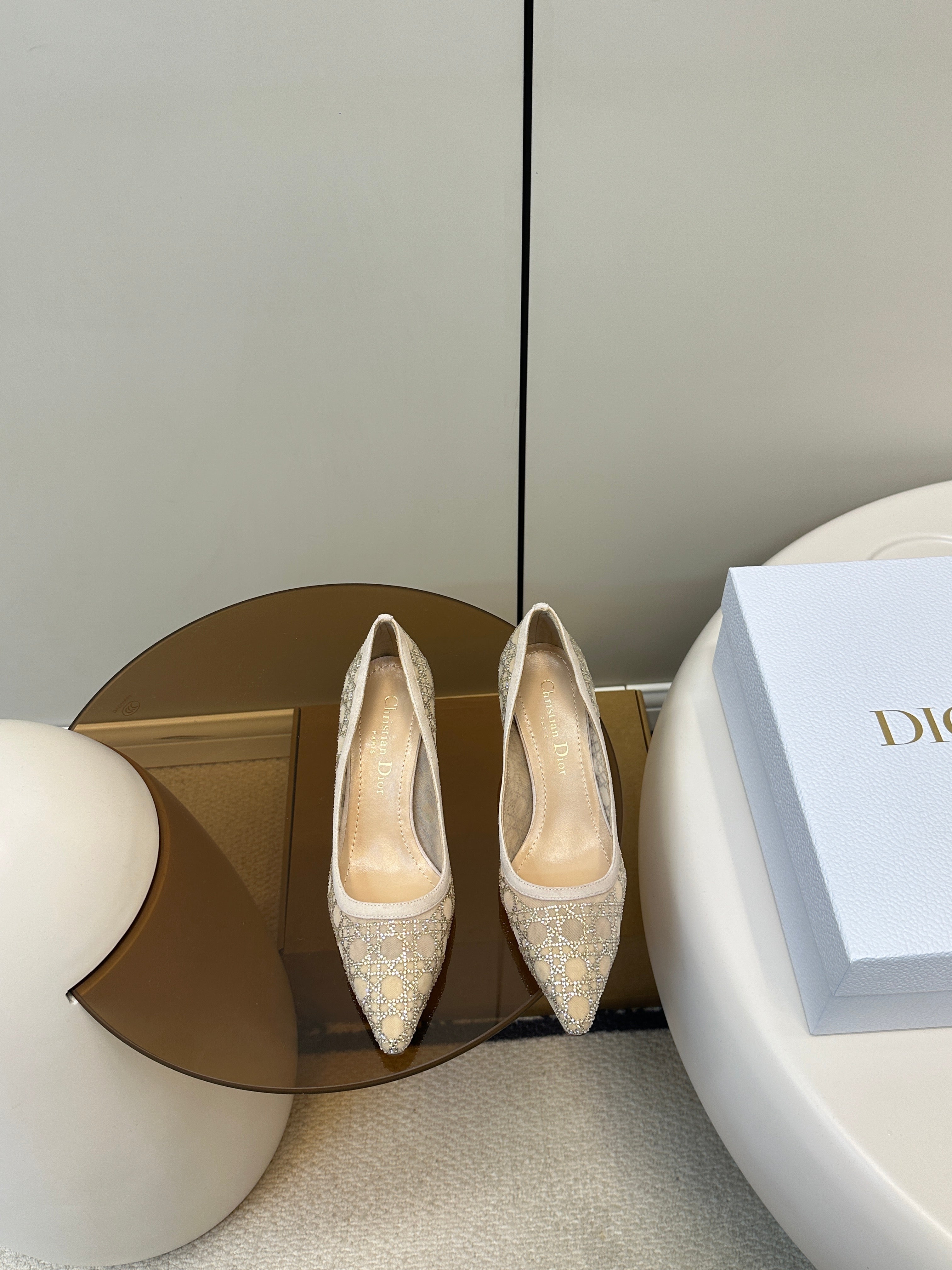 DIOR POINTED TOE HEELS 55MM IN NUDE MESH WITH RHINESTONES