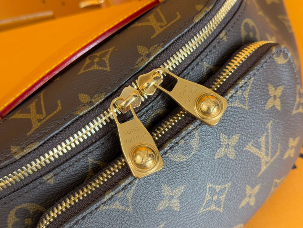 LOUIS VUITTON RUSH BUMBAG 30 IN BROWN MONOGRAM DUST CANVAS