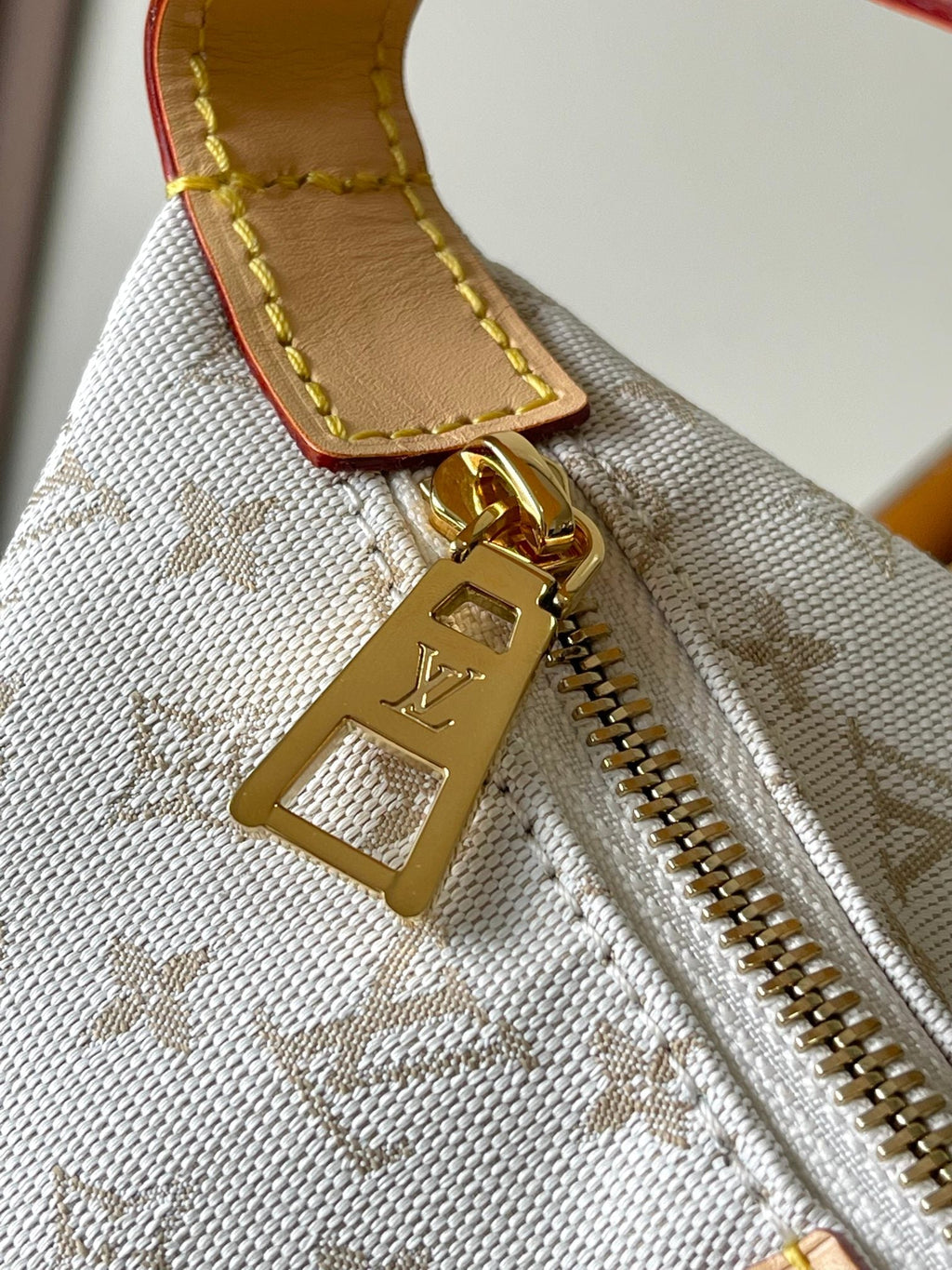 LOUIS VUITTON HILLS POCHETTE 20 IN WHITE MONOGRAM MINI JACQUARD