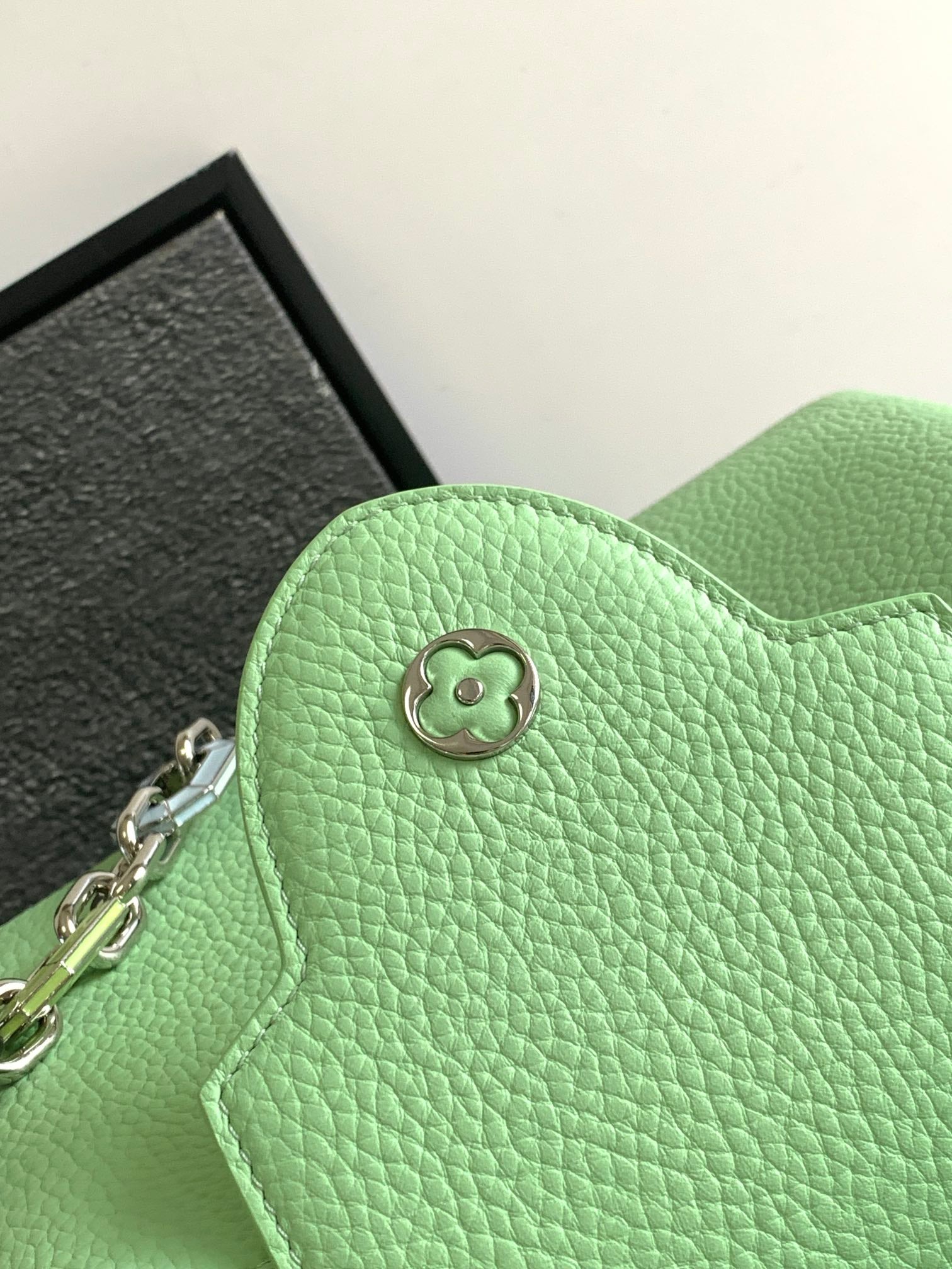 LOUIS VUITTON CAPUCINES BB 27 IN LIGHT GREEN TAURILLON SILVER HARDWARE