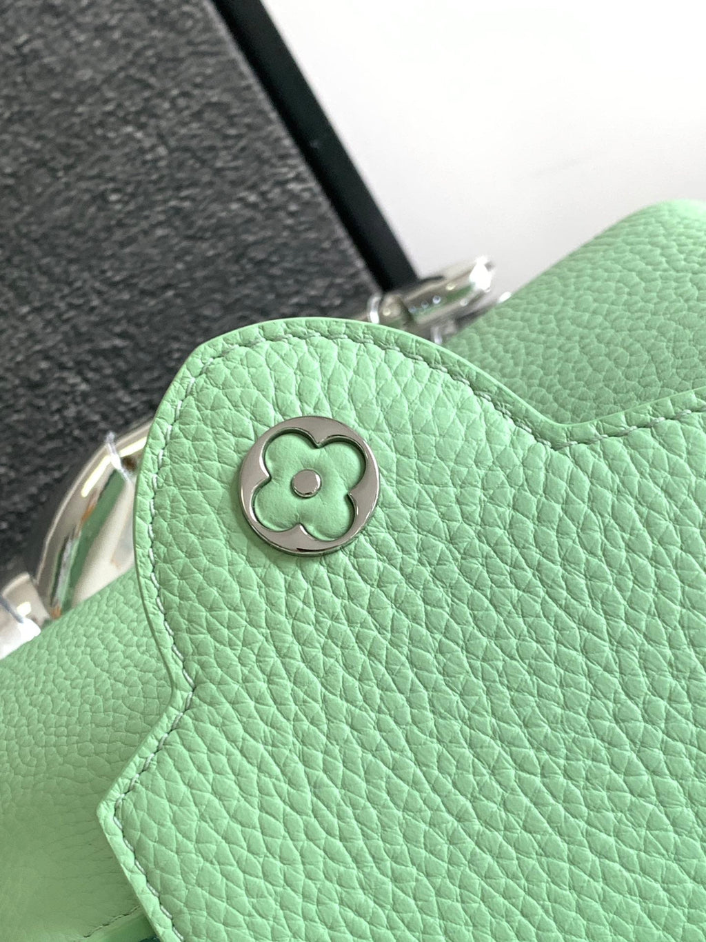 LOUIS VUITTON CAPUCINES MINI 21 IN LIGHT GREEN TAURILLON SILVER HARDWARE