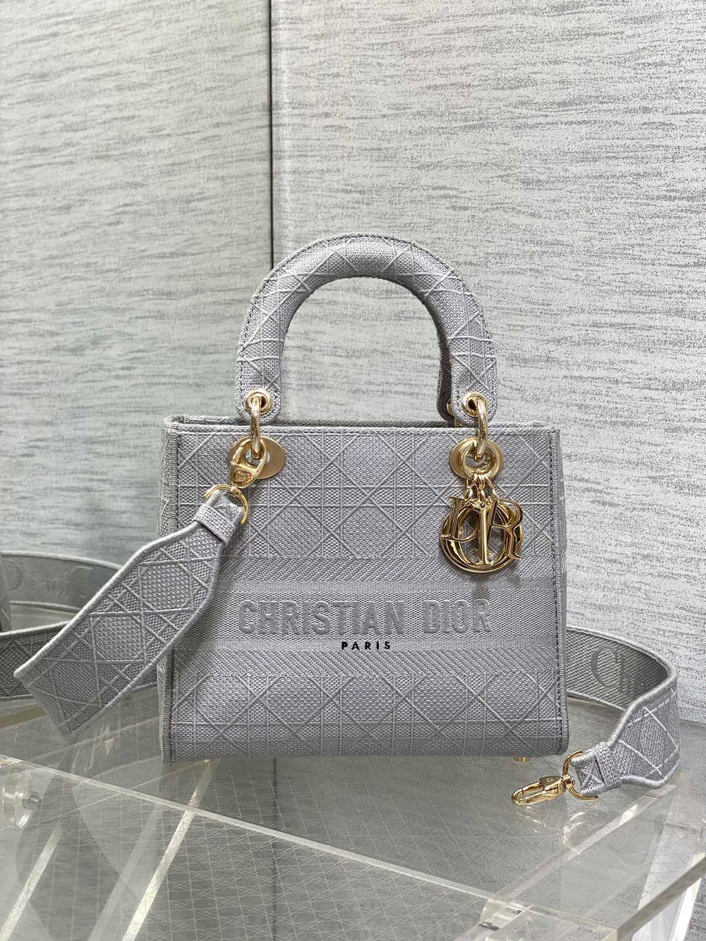DIOR SMALL 24 LADY BAG IN PALE GRAY CANVAS