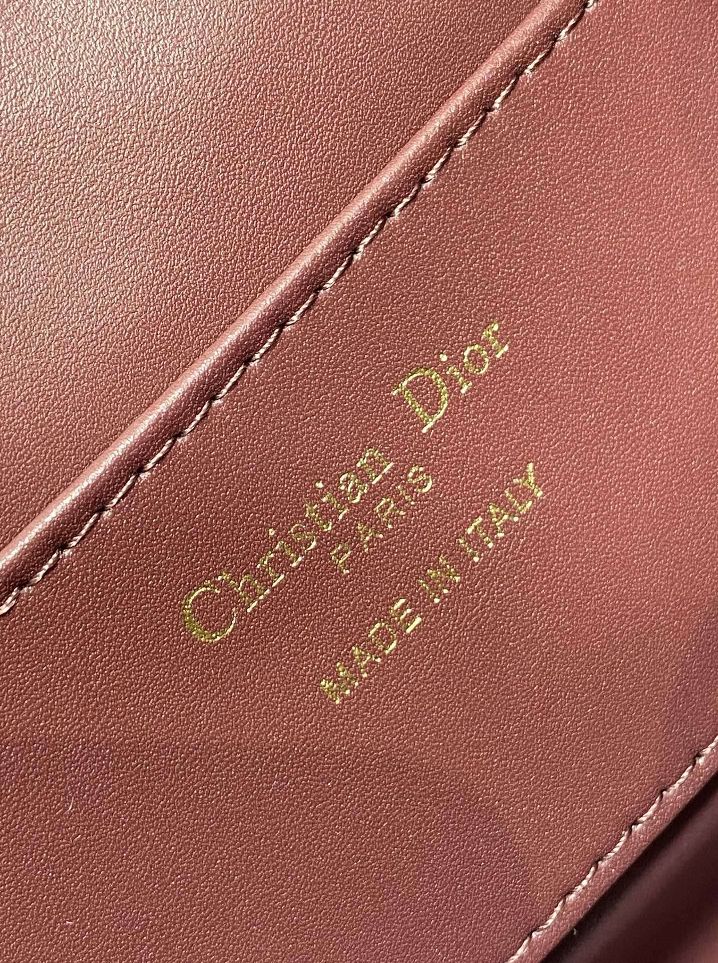 DIOR SMALL 20 CARO BACKPACK IN PLUM PURPLE MACROCANNAGE LAMBSKIN