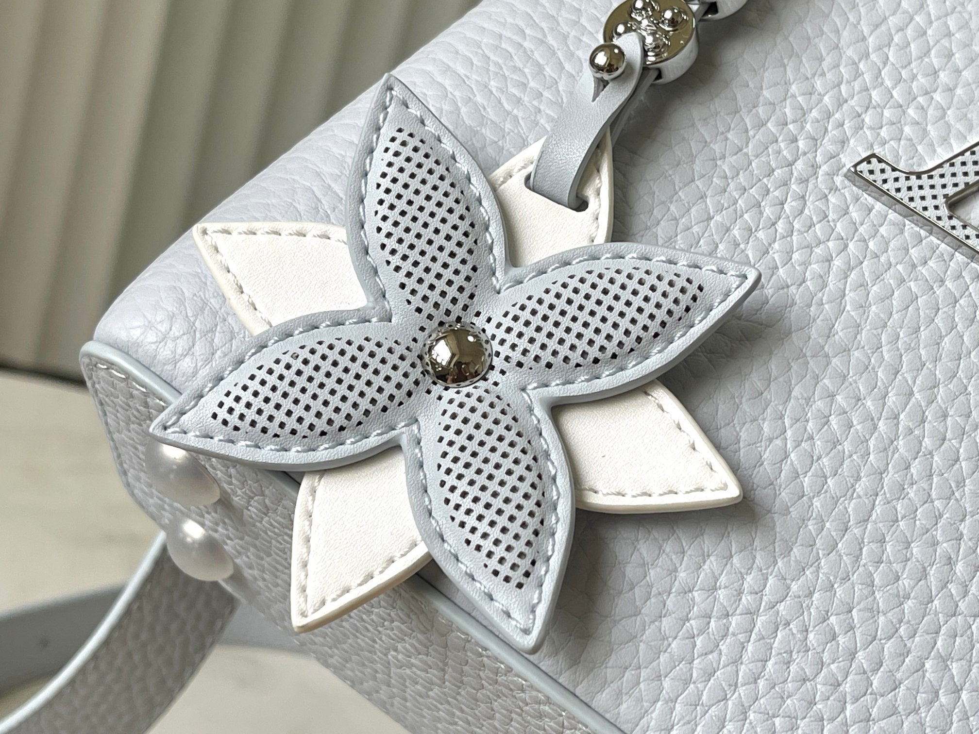 LOUIS VUITTON CAPUCINES MINI 21 IN CHROME GRAY TAURILLON SILVER HARDWARE