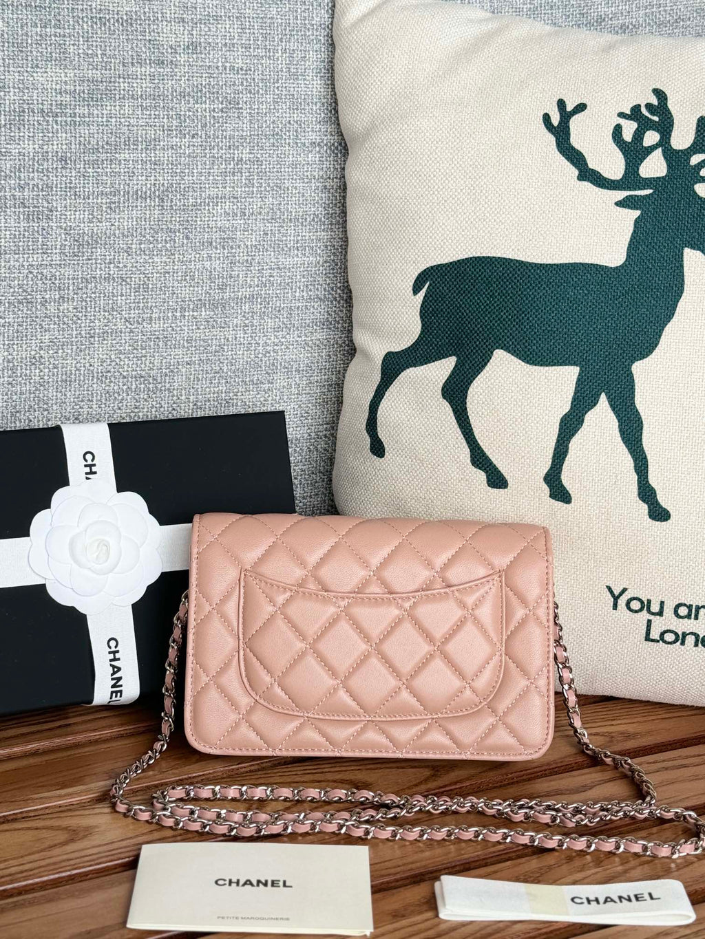 CHANEL WOC ENTRUPY 19 BAG IN LIGHT PINK CALFSKIN