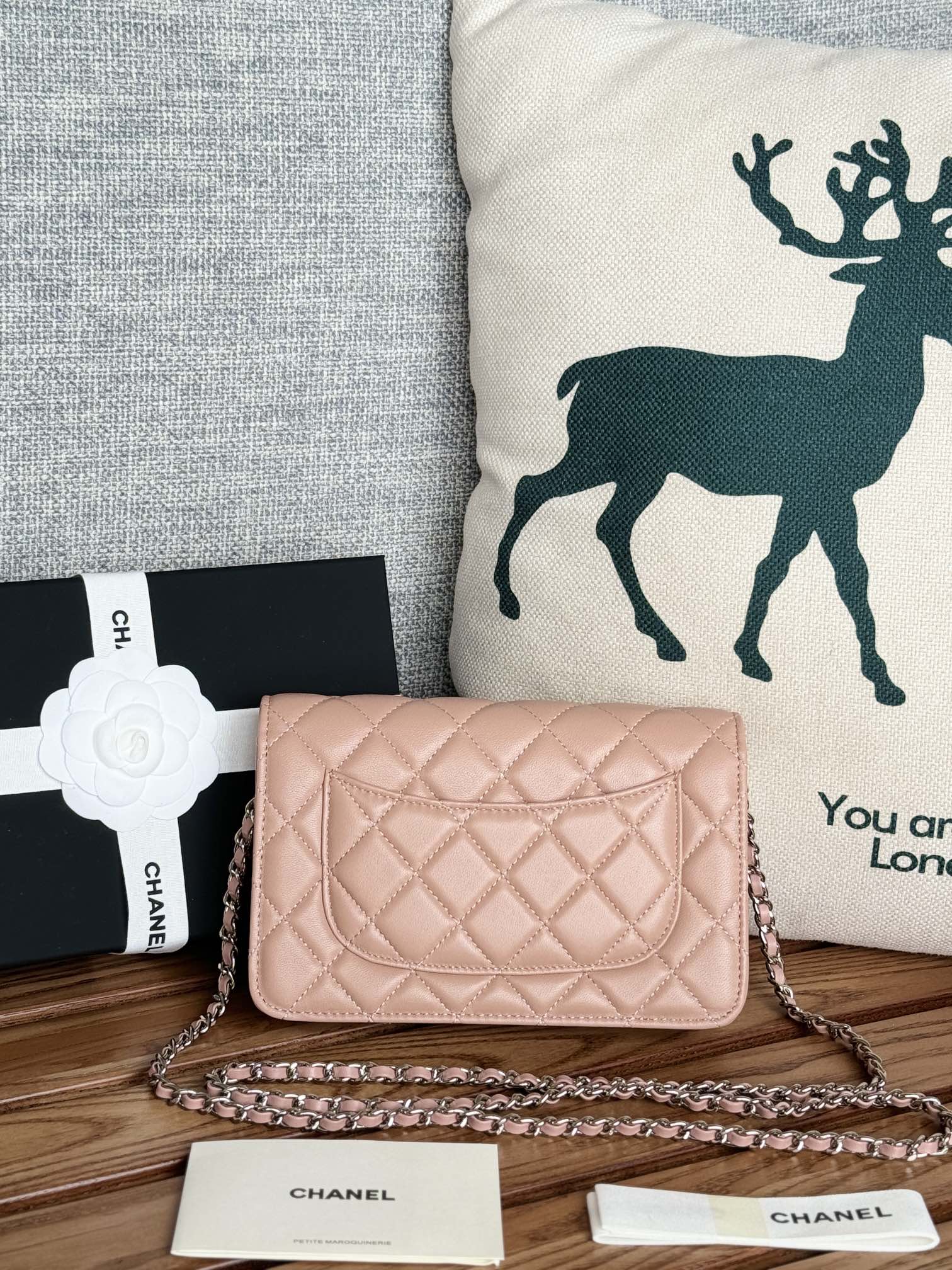 CHANEL WOC ENTRUPY 19 BAG IN LIGHT PINK CALFSKIN