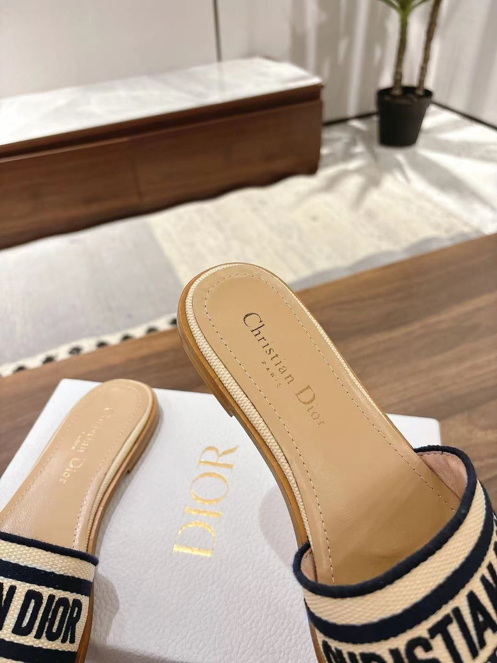 DIOR DWAY SLIDES IN BEIGE AND NAVY BLUE TECHNICAL FABRIC