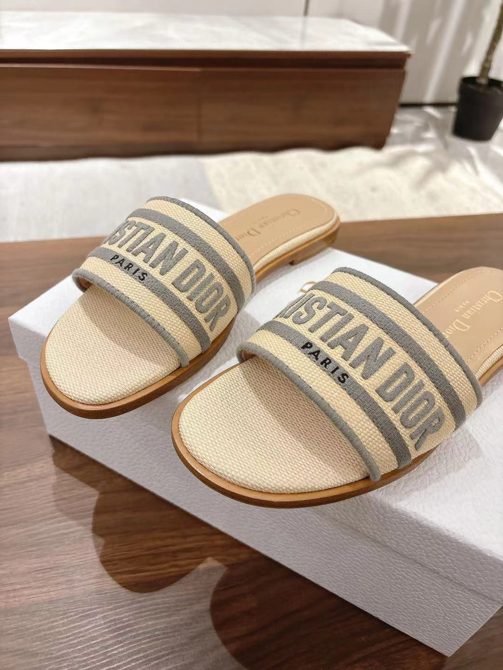 DIOR DWAY SLIDES IN BEIGE AND GRAY TECHNICAL FABRIC
