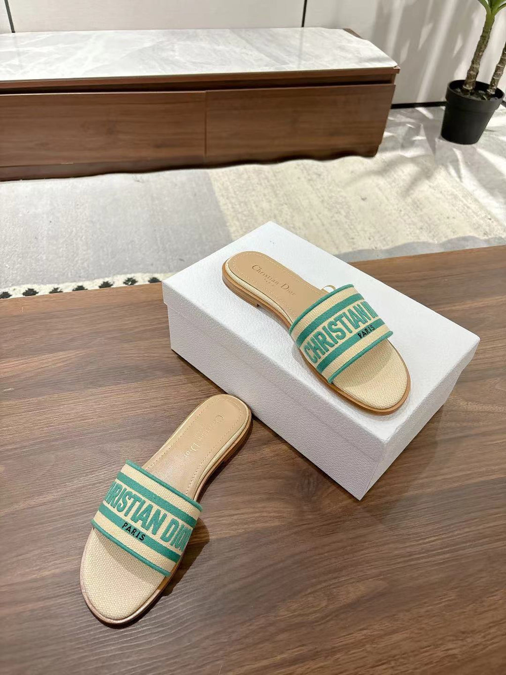 DIOR DWAY SLIDES IN BEIGE AND GREEN TECHNICAL FABRIC