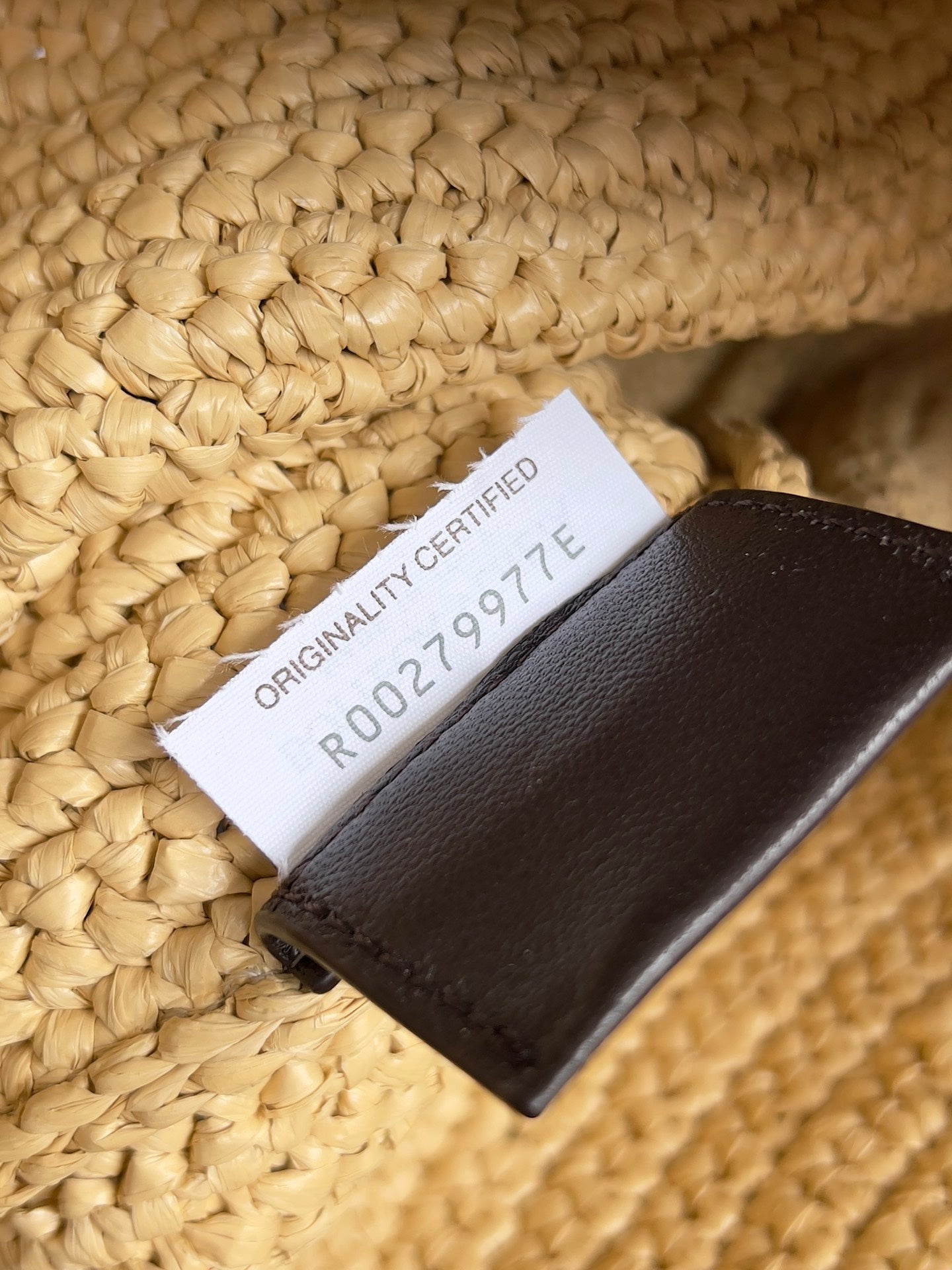 BOTTEGA VENETA SARDINE CHAIN 33 IN NATURAL RAFFIA