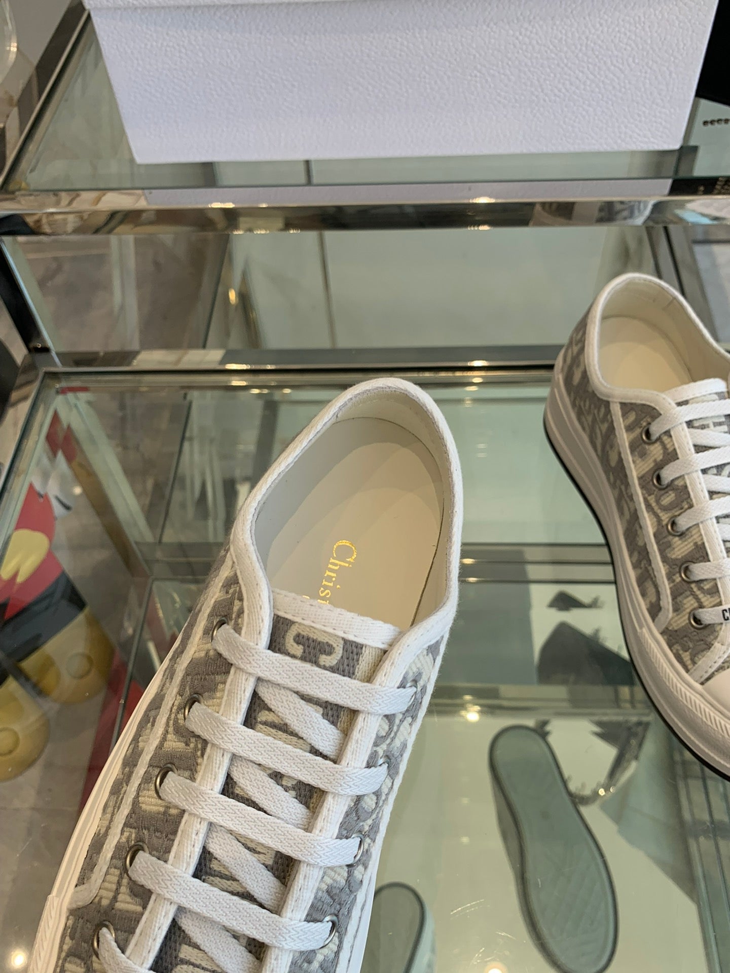 DIOR WALK'N PLATFORM SNEAKER IN DOLPHIN GRAY EMBROIDERY ICONIC PATTERNS FABRIC